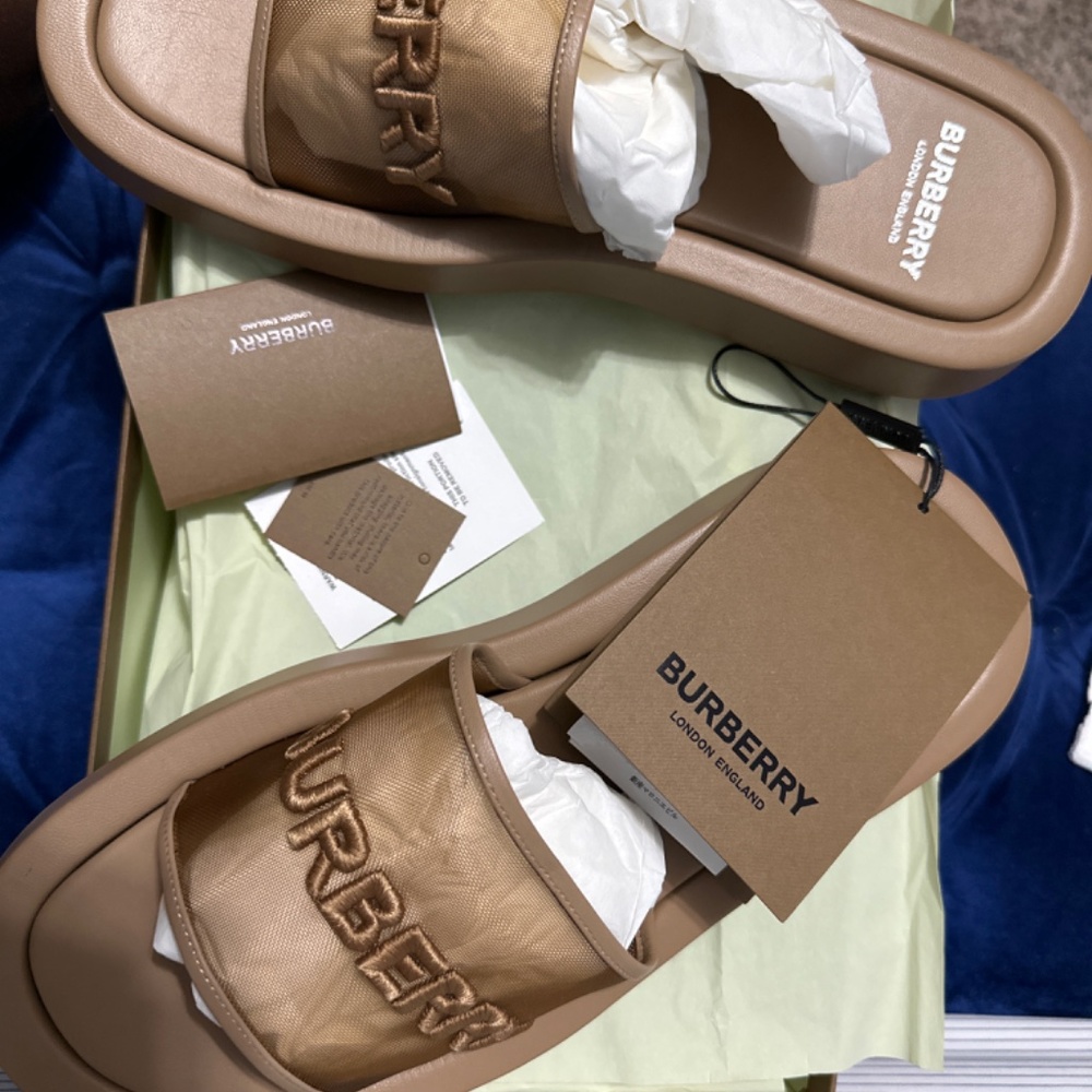 Buckingham slides - Picture 2 of 4